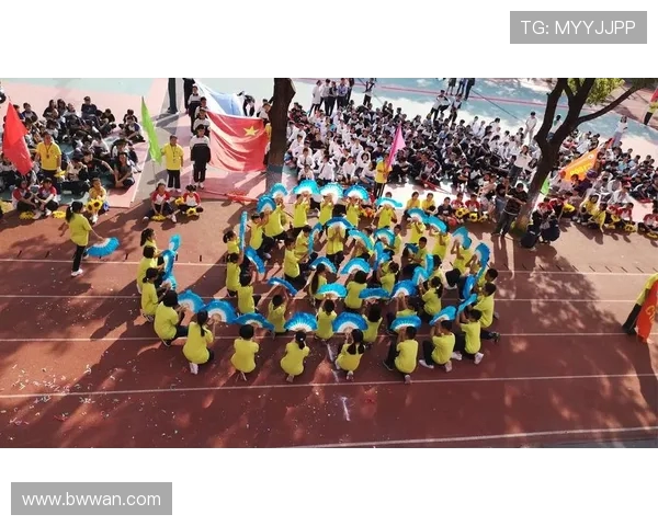 专访赵芳：探寻排球背后的成功秘诀与奋斗历程