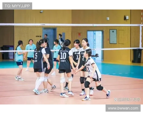 南京排球队在全国排球节奏排行榜中荣获第八名的佳绩引发关注